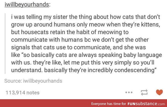 Cats.