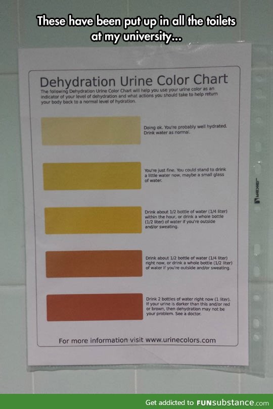 Dehydration levels to keep in mind