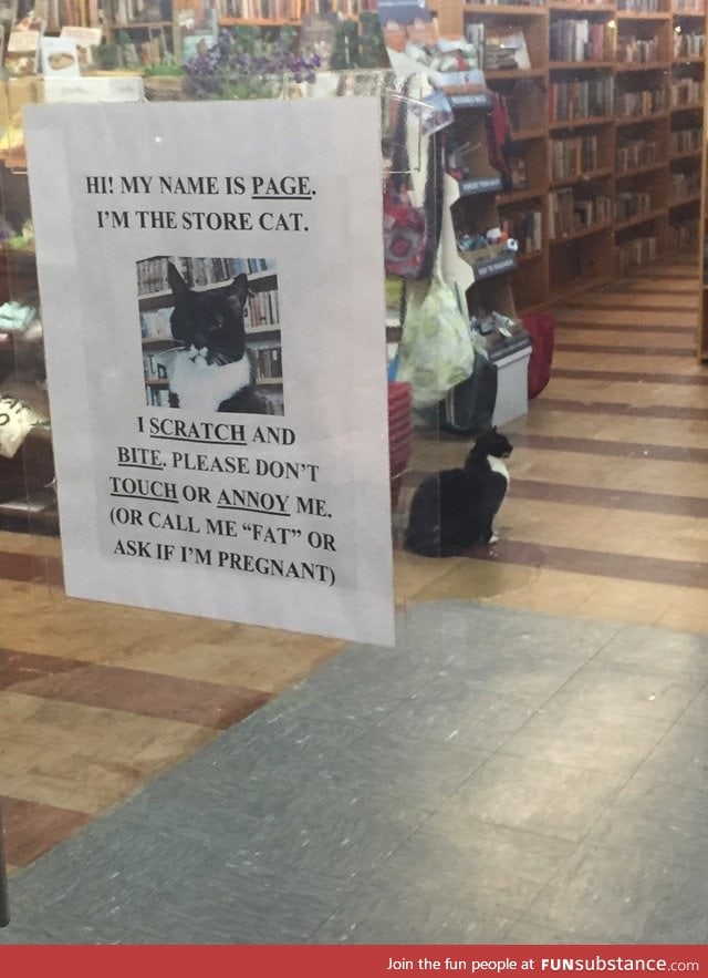 Local book store has a shop cat with a lot of personality