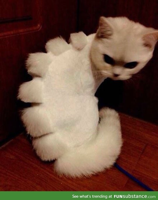 Catasarus Rex