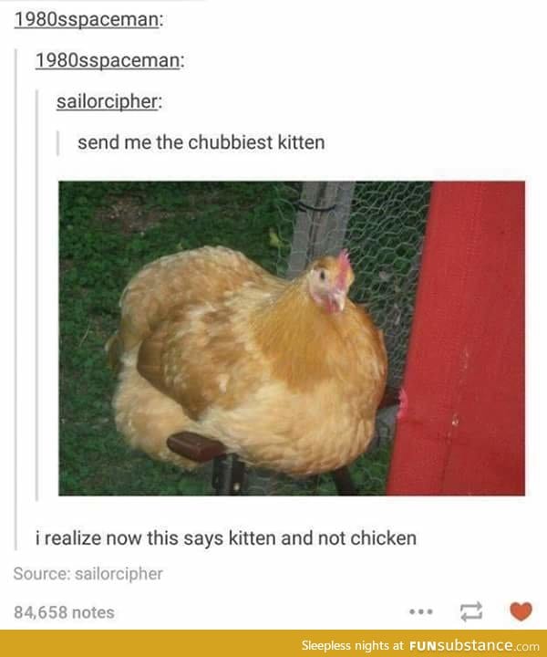 My pet chicken was super fluffy too...