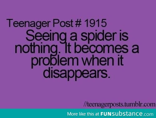 Spider problem