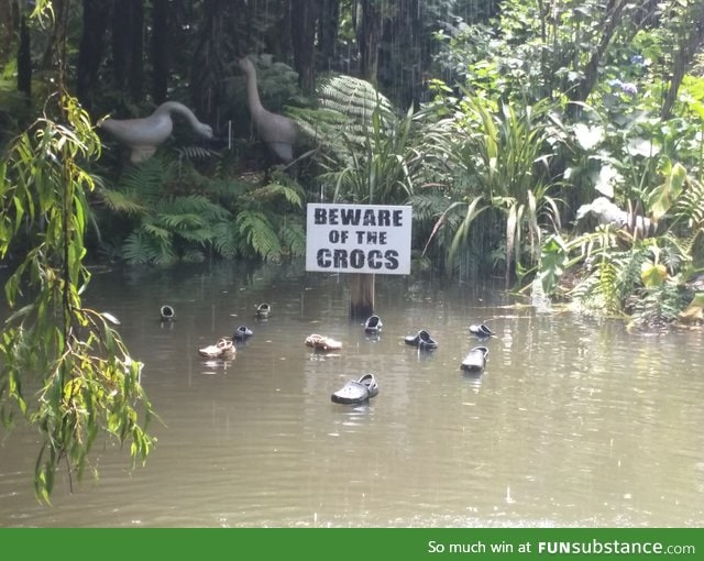 Beware of the Crocs