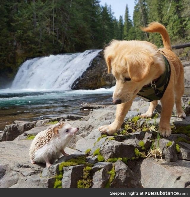 I wish all hikes were like this