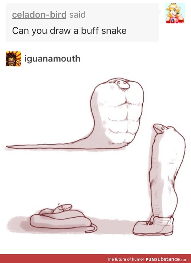 Buff snake