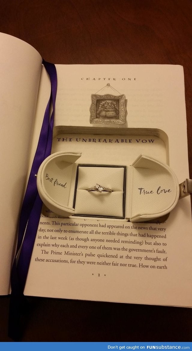 Harry Potter proposal