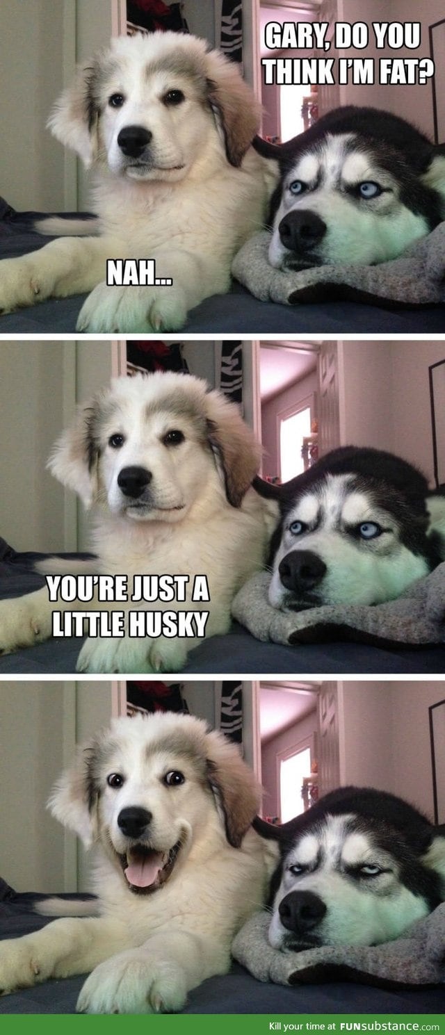 Pun puppy