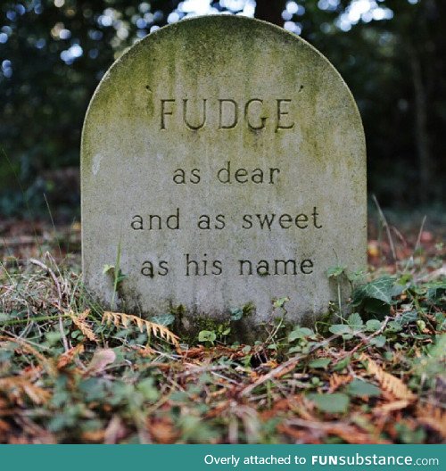 Pet grave in a pet cemetery at Exbury Gardens