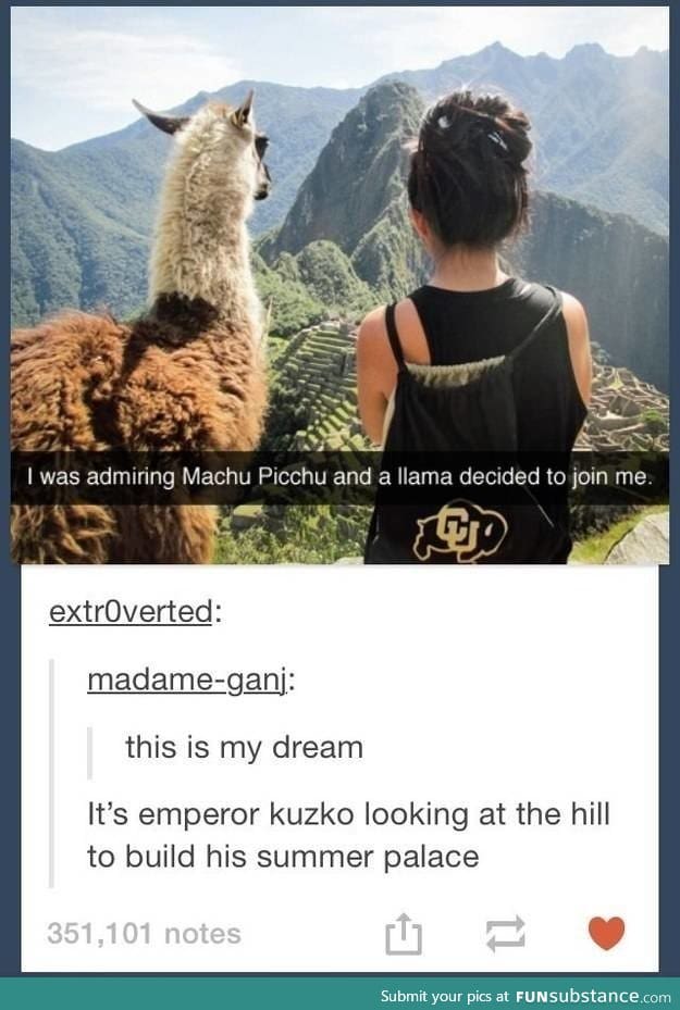 llama