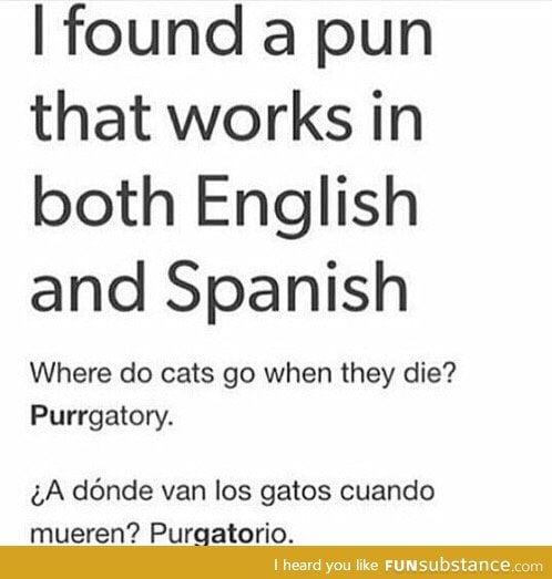 Bilingual pun