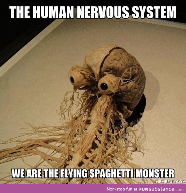 The flying spaghetti monster has taken over