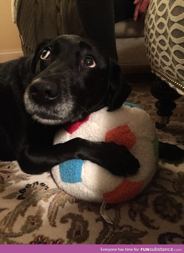 Dis my ball. No takies!