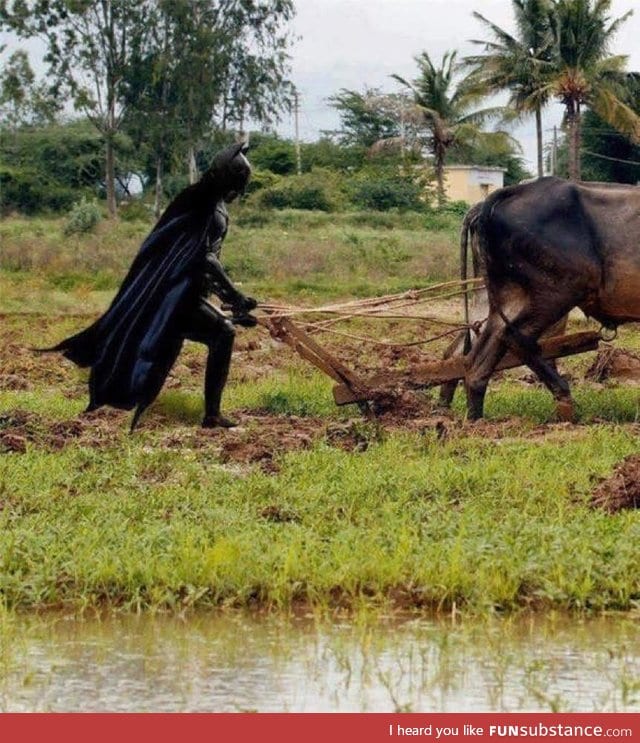 The dark knight rices