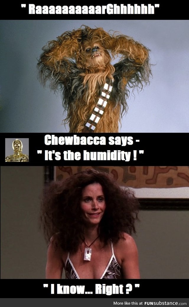 Star Wars - The Frizz Awakens