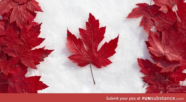 Here's a "natural" Canadian flag