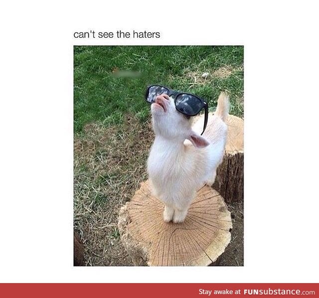 Can't see the haters