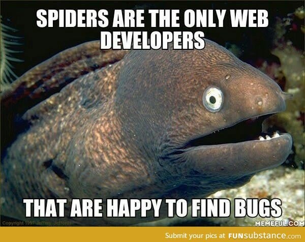 Spiders are the original web developers