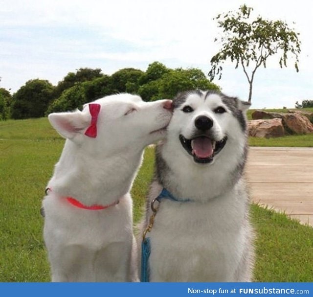 Her kiss could not have made anyone happier!