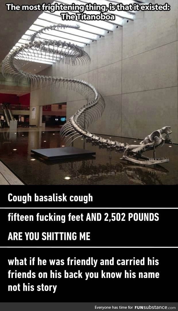 The scary skeleton of a Titanoboa