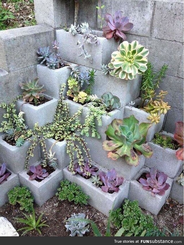 Cinder block garden idea