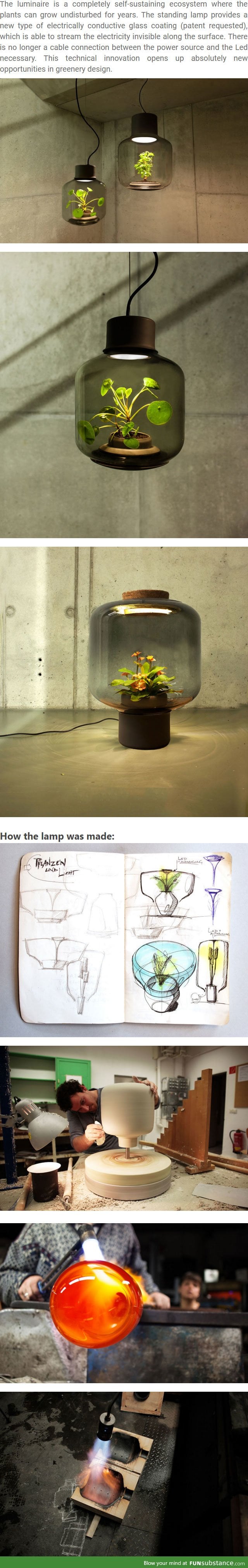 These Eco Lamps Were Deigned to Grow Plants In Places Without Sunlight