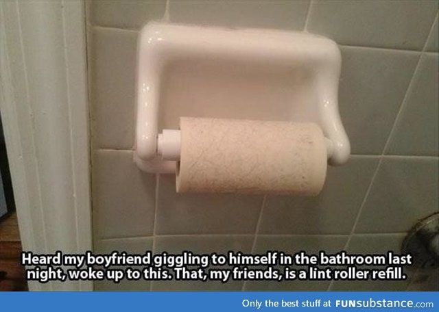 Lint roller