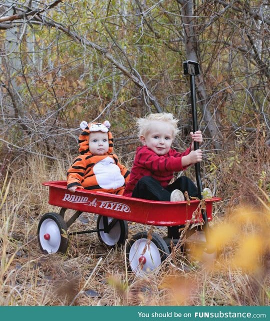 Little calvin and hobbes out for a ride