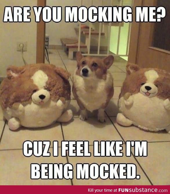 Are you mocking me?