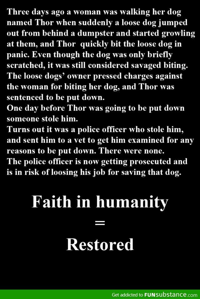 Saving a dog's life