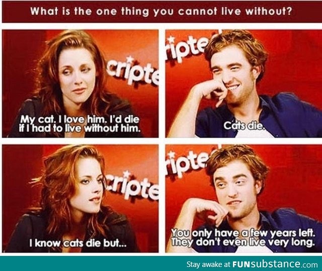 Kristen Stewart on cats