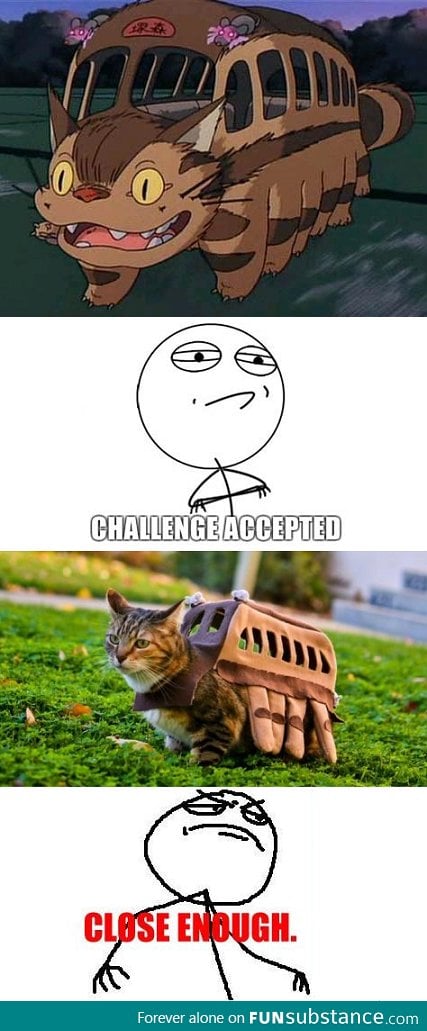 cat bus challenge