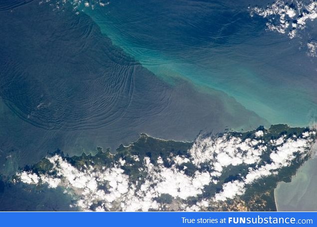 A humongous wave taking place ...underwater