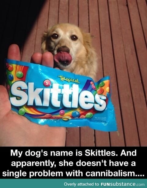 Repost because Skittles missed National Puppy Day by a night. RIP.