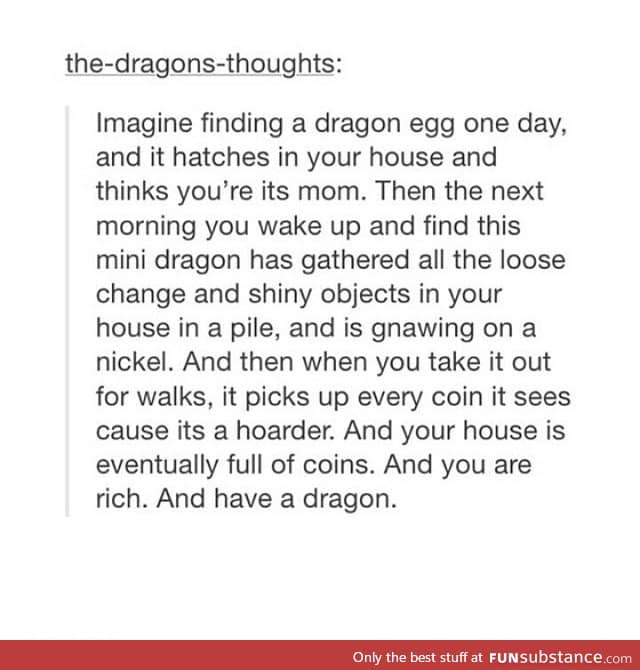 Imagine finding a dragon egg one day