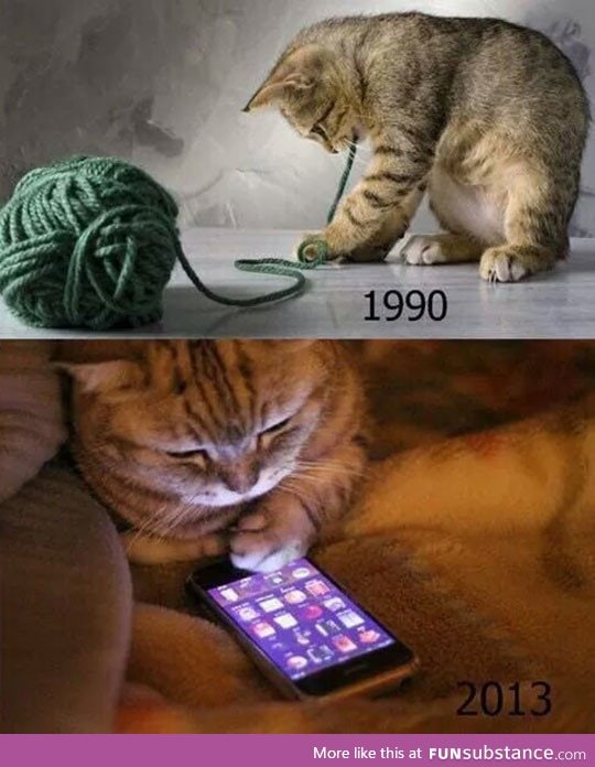 90s Cats Will Understand