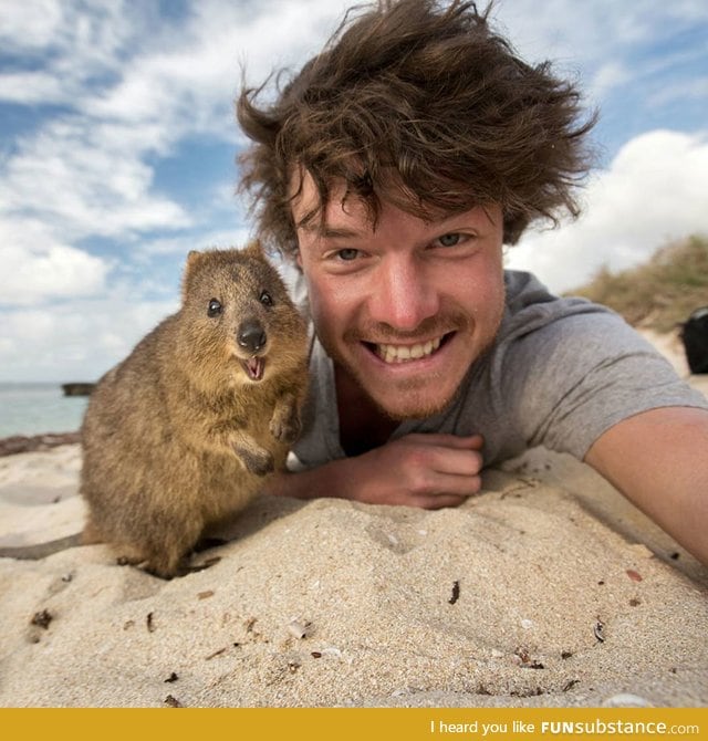 This guy has perfected the art of animal selfies.