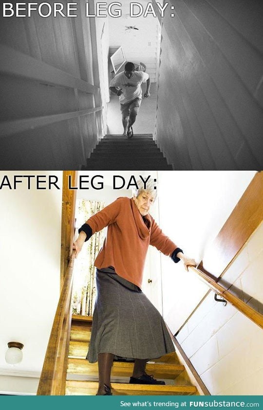 Leg day reality