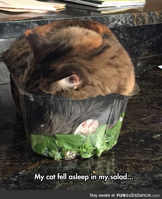 Such a cozy salad