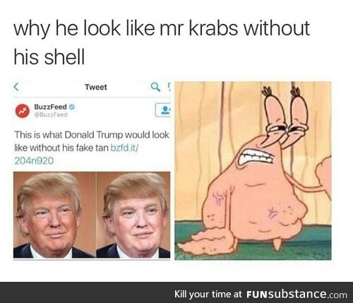 List some similarities or differences between Trump and Mr. Krabs in the comments