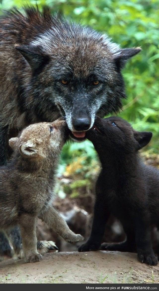 Kisses for Mom