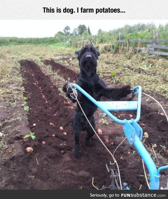 Just a farmer at work