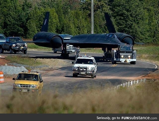 Just some Blackbird. Nothing to see here. Move along