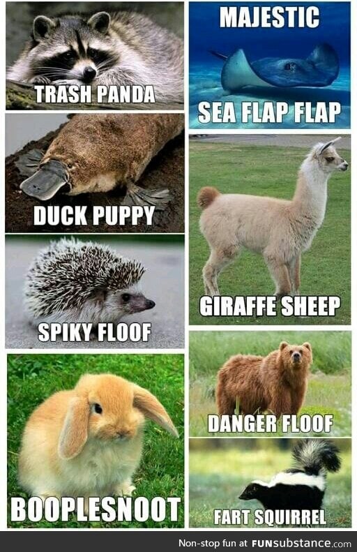 Alternate names for animals