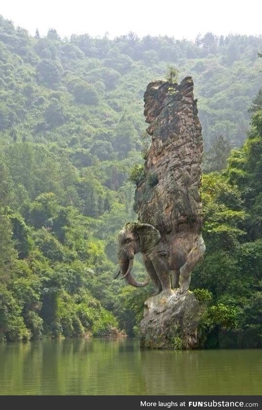 Elephant Pillar in India