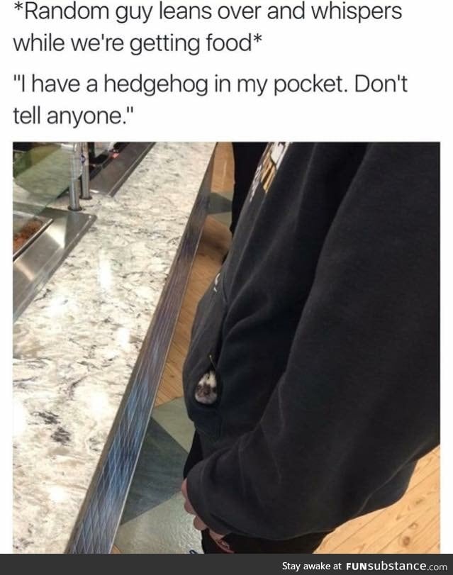 I want a secret pocket buddy too