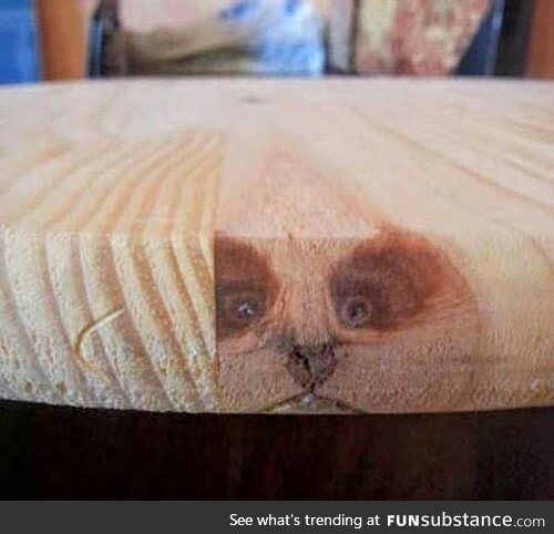 Reincarnation gone horribly wrong