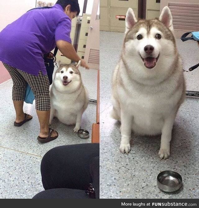 Fat ass woofer