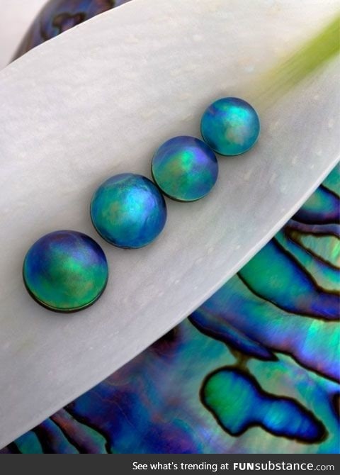 Abalone pearls