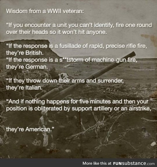 The most accurate post about wwii