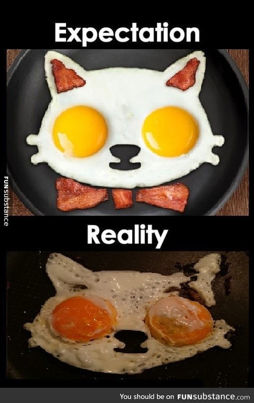 Expectation vs Reality